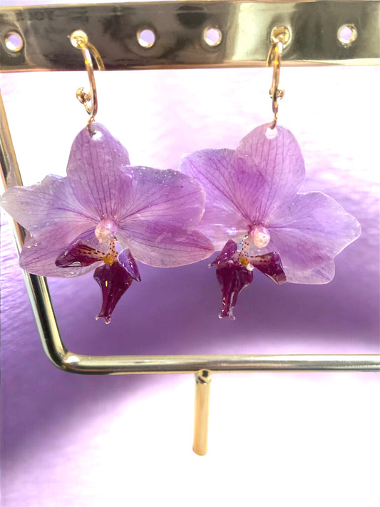 Boucles d’oreilles NOCTEA