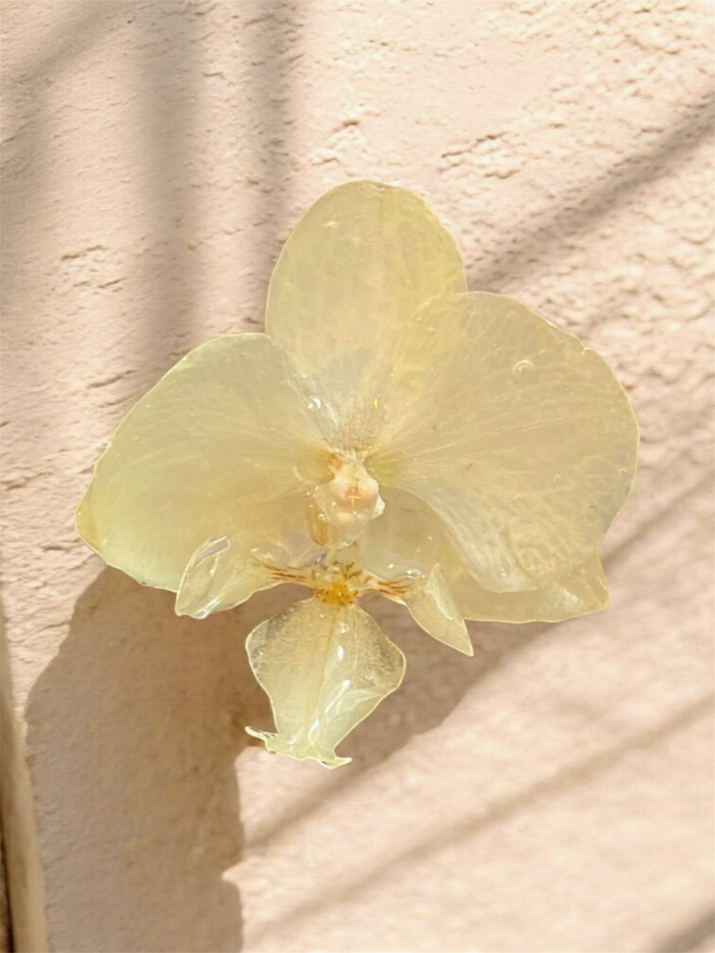 Bague BOHÈMIA